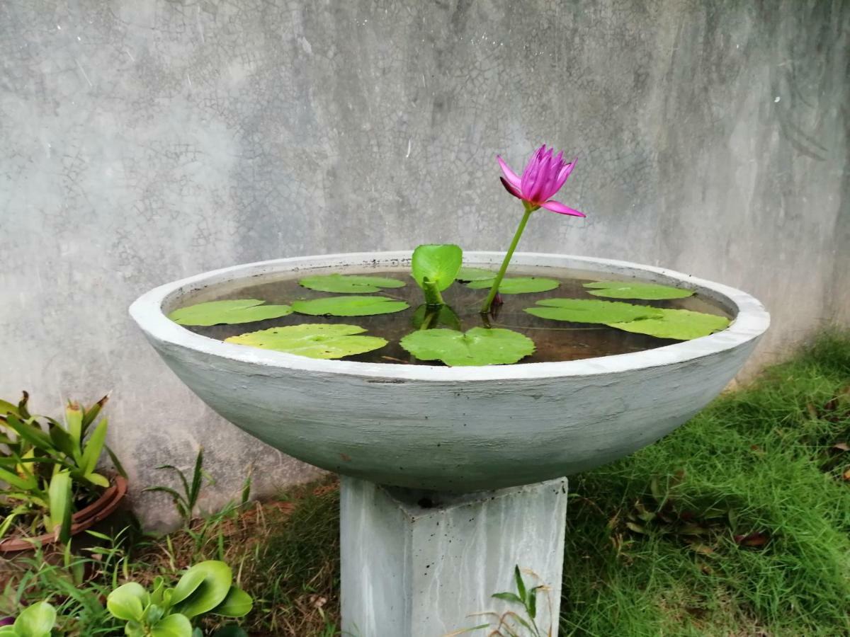 Orchid Villa #10 Hikkaduwa Eksteriør bilde