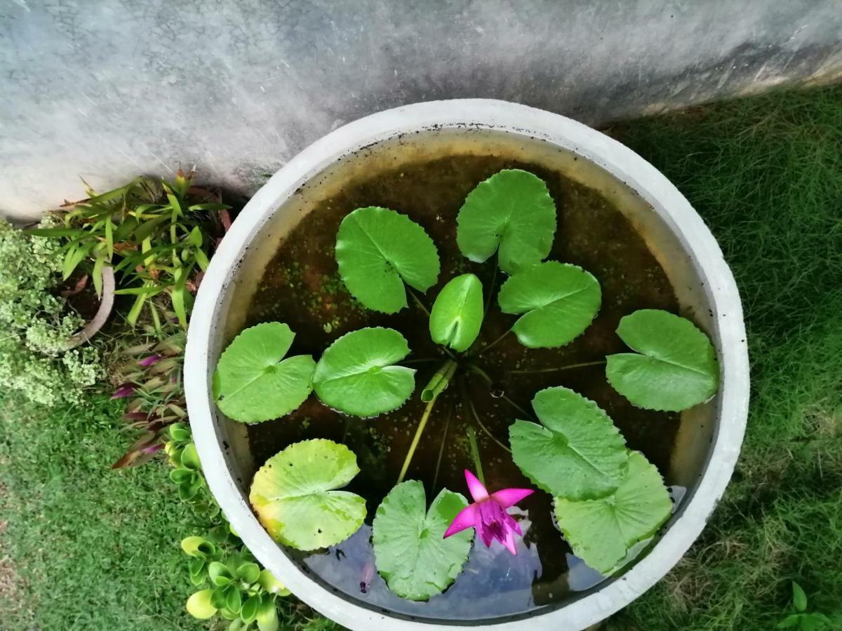 Orchid Villa #10 Hikkaduwa Eksteriør bilde